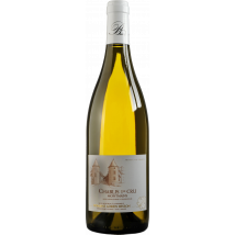 Domaine Besson Chablis Premier Cru Montmains 2023