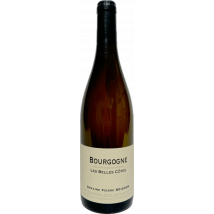 Domaine Boisson Pierre Boisson Bourgogne Les Belles Cotes 2022