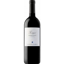 Domenico Clerico Barbera d'Alba Tre Vigne 2021