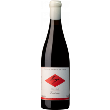 Envinate Benje Tinto 2023