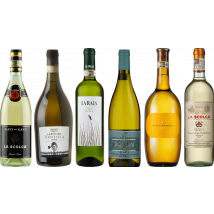 Gavi Tasting Case