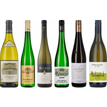 Gruner Veltliner Premium Tasting Case