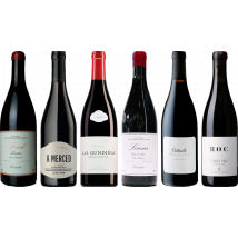 Mencia Premium Tasting Case