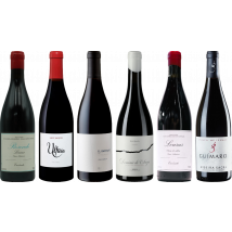 Mencia Premium Tasting Case