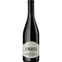 Michelini i Mufatto A Merced 2021