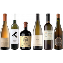 Orange Wine Premium Tasting Case