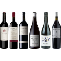 Priorat Premium Tasting Case