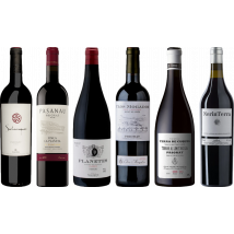Priorat Premium Tasting Case