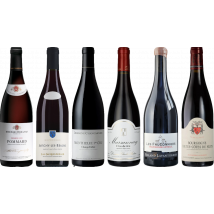 Red Burgundy Tasting Case