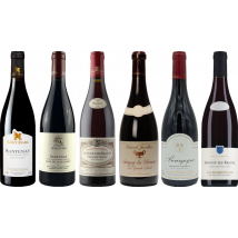 Red Burgundy Tasting Case