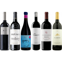 Ribera del Duero Premium Tasting Case