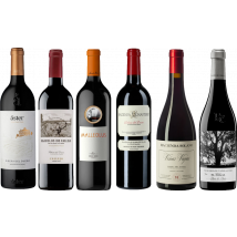 Ribera del Duero Premium Tasting Case