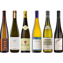 Riesling Premium Tasting Case