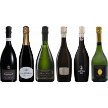 Vintage Champagne Premium Tasting Case