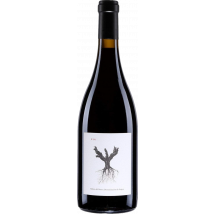 Dominio de Pingus Psi 2023