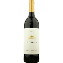 Aster El Espino 2020