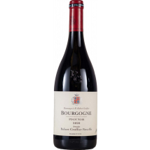 Domaine Robert Groffier Bourgogne Pinot Noir 2020