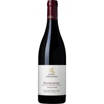 Domaine Jessiaume Bourgogne Pinot Noir 2023