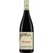 Domaine Pierre Guillemot Bourgogne Pinot Noir 2023