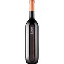 Klet Brda Bagueri Superior Sauvignon Blanc 2021