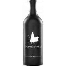 Markus Huber Metamorphosis 2022