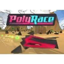PolyRace Steam CD Key - Fast-paced Futuristic Racing Game