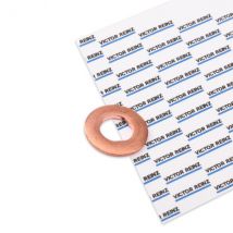 REINZ Gaskets MERCEDES-BENZ,MITSUBISHI,SMART 70-31598-00 5080301AA,5080301AA,2S6Q9E568AB Seal, injector 5080301AA,6010171360,6110170060,6110170061