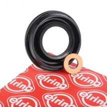 ELRING Gaskets FORD,FIAT,PEUGEOT 875.760 Seal Kit, injector nozzle