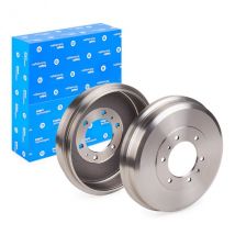 DELPHI Brake Drum ISUZU BF573 8979480380,8979480381,8980618130 Rear Brakes,Drum Brake 8980618131,8981364911,97948038,98061813