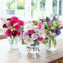 Seasonal Gift Subscription