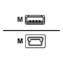 Cisco - USB cable - USB to mini-USB Type B - 1.83 m