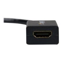 STARTECH DisplayPort Video Converter