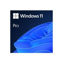 Windows 11 Pro - licence - 1 licence
