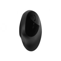 Kensington Pro Fit Ergo Wireless Mouse - mouse - 2.4 GHz, Bluetooth 4.0 LE - black