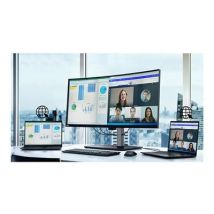 LENOVO ThinkVision P40w-20 100,84cm TS