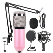 Microphone Rose Haute Qualité Pour Studio Enregistrement Et Podcasting Rose Yonis - Yonis