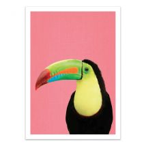 Affiche 50x70 Cm - Toucan Bird In Pink - Gal Design - Wall Editions