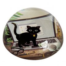 Presse-papier Chaton Sur Ordinateur - Kiub