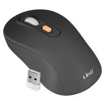 Linq Souris Sans Fil Bluetooth Ou Wifi 2.4ghz Précision Et Confort Noir