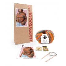 Kit Tricot Pull Femme Marguerite Disco 38/40 - Pingouin