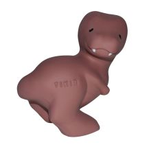 Mon Premier Dinosaure T-rex - Tikiri - Tikiri