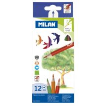 Boîte 12 Crayons De Couleur Triangulaires (dessin D'Arbre) - Milan
