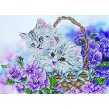 Chatons Au Panier - Diamond Dotz