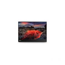 Lenovo Monitor Thinkvision M14t Gen 2 (63fduat6wl)
