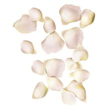 Pétales De Roses Rose 3 Et 4,5 Cm 41 Pièces - Rayher