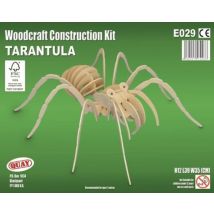 Maquette En Bois Araignée - Quay