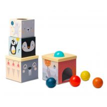 Boite A Balles Le Pole Nord - Buki