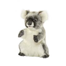 - Peluche Koala 26cmh