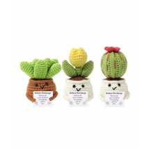 Kit Diy – Les Cactus Positifs By Oké! Vert