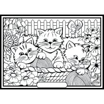 Tableau Velours A Colorier 3 Chatons Sericolor